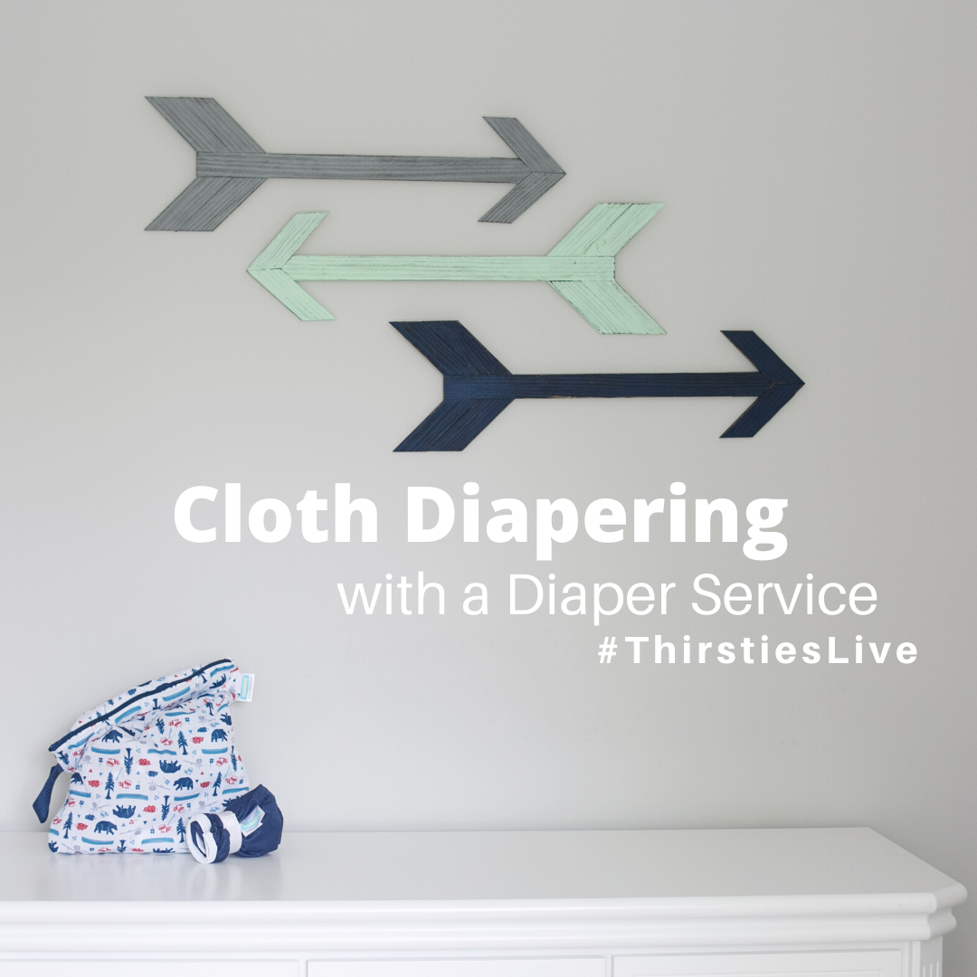 Cloth 2024 diaper service