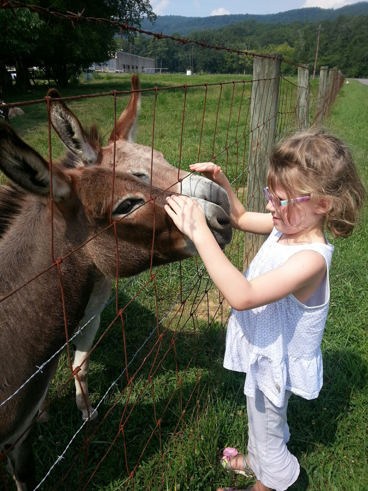 image of child at farm