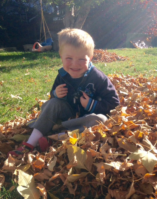 image of child in leaves