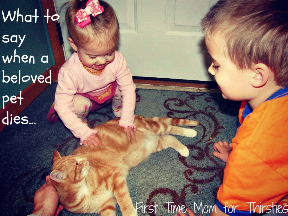 image of children with cat