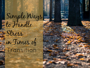 image of autumn leaves in the woods with text on transition