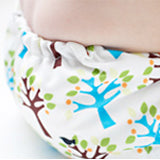 image of cloth diaper