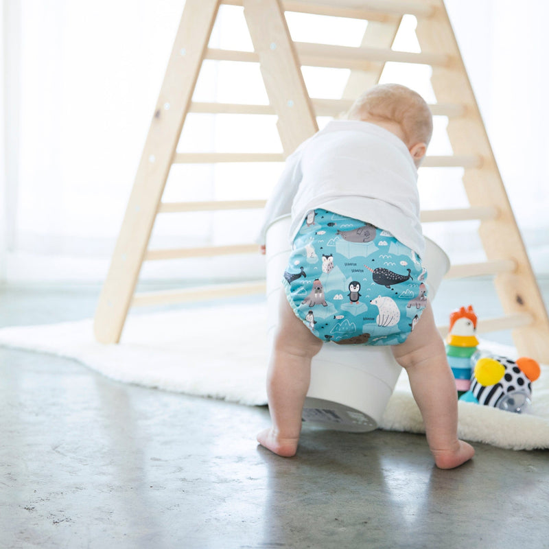 -Image of Thirsties Cloth Diapers Duo Wrap 40lbs+