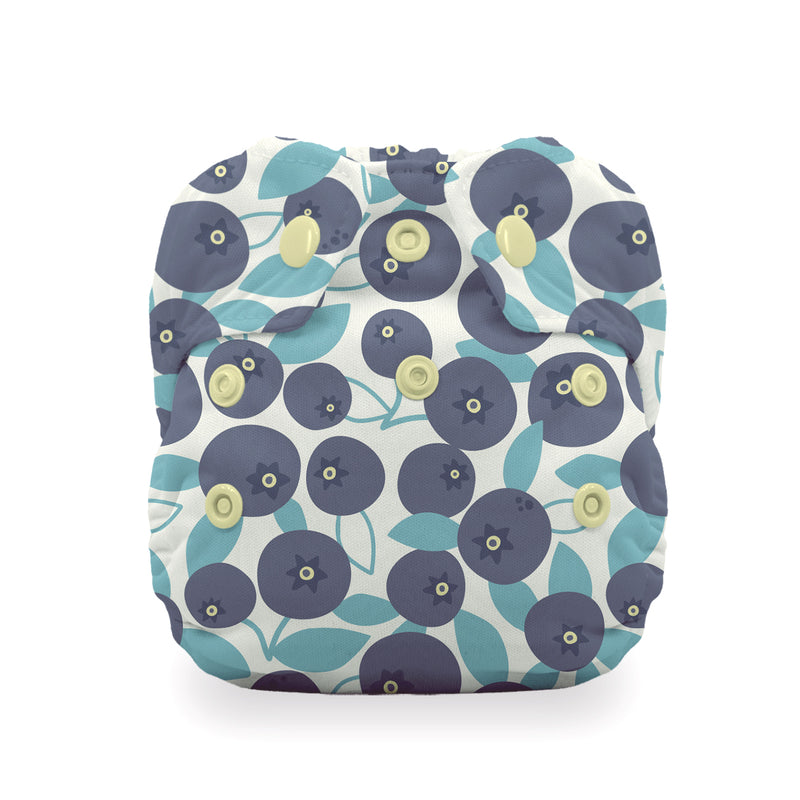 Image of Thirsties Cloth Diapers Natural Newborn All in One