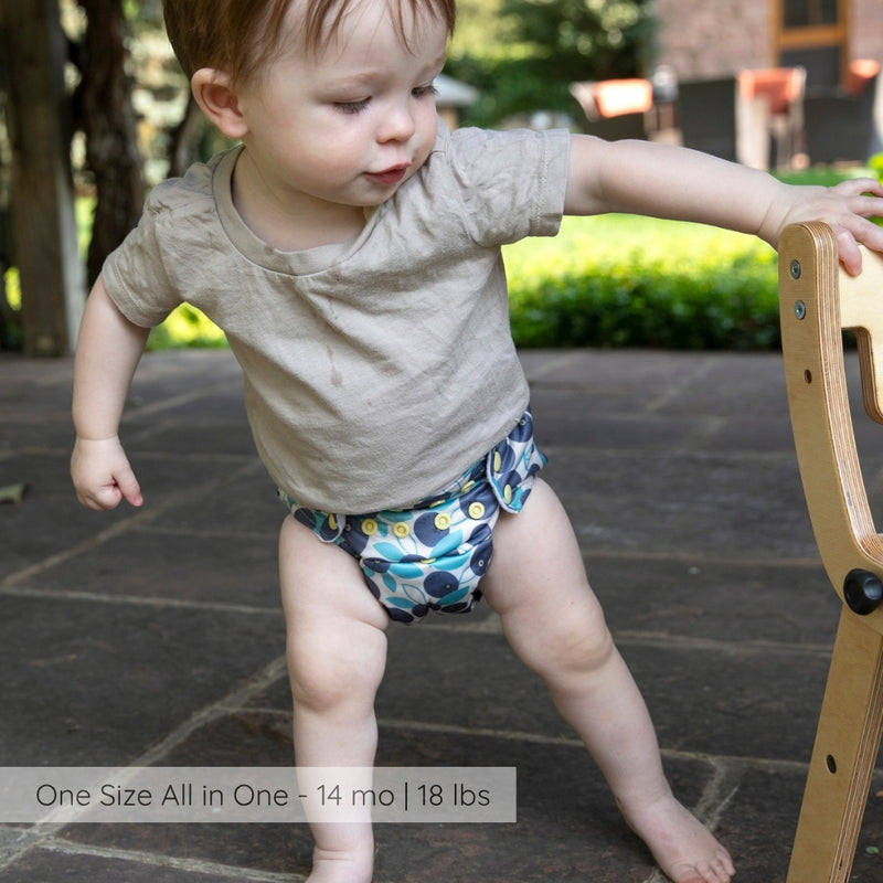 -Image of Thirsties Cloth Diapers One Size All In One