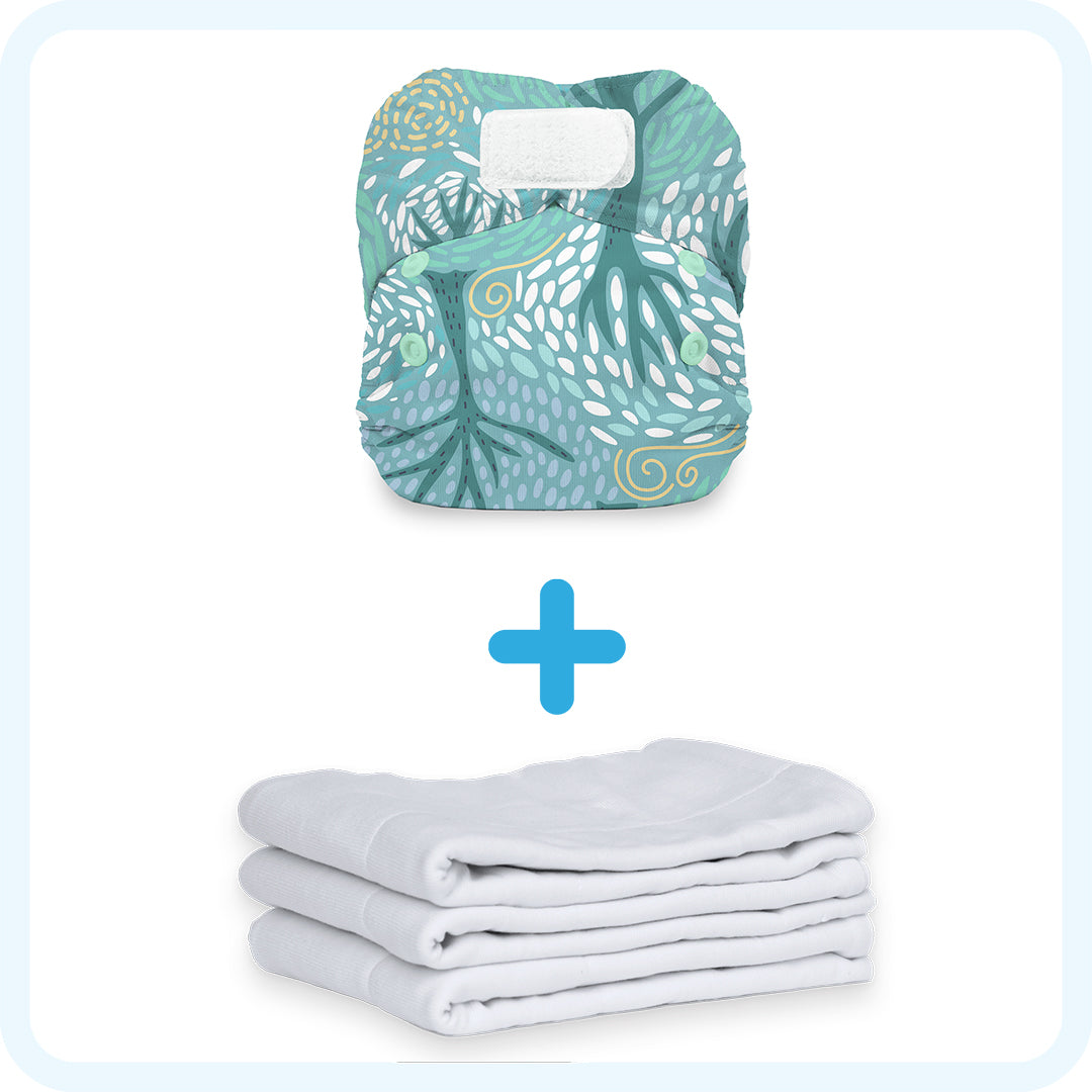 Budget Bundle