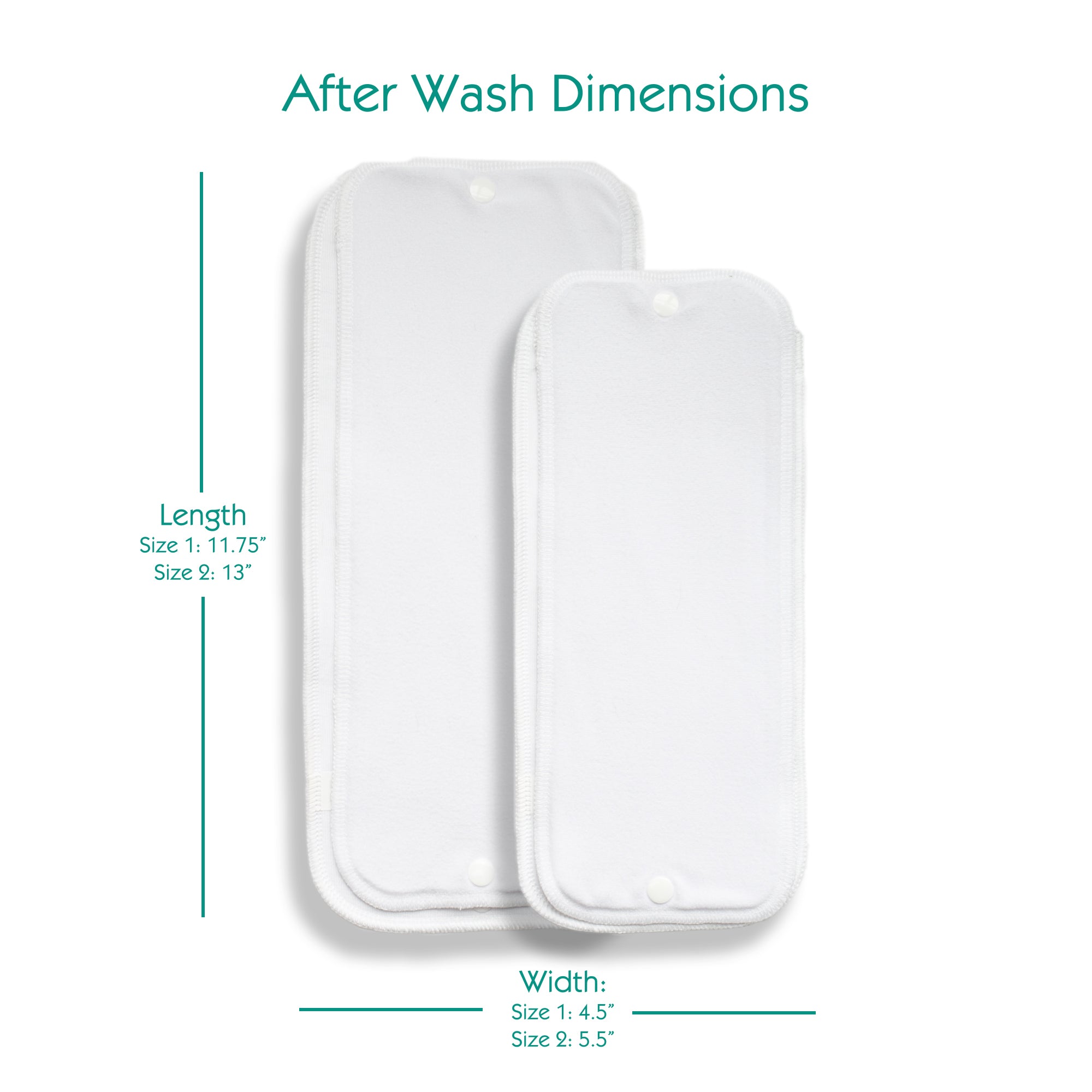 -Image of Thirsties Stay Dry Natural Duo Insert with after wash dimensions